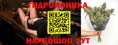гашик Партизанск
