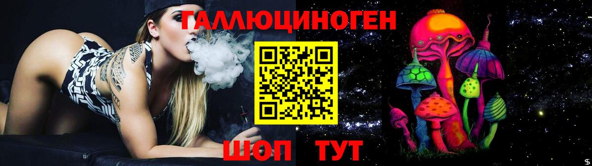 Галлюциногенные грибы Psilocybine cubensis Алушта
